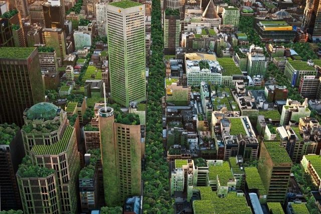 ‘A Jungle of Rooftop Greenery’: Council Makes Green Roof Push