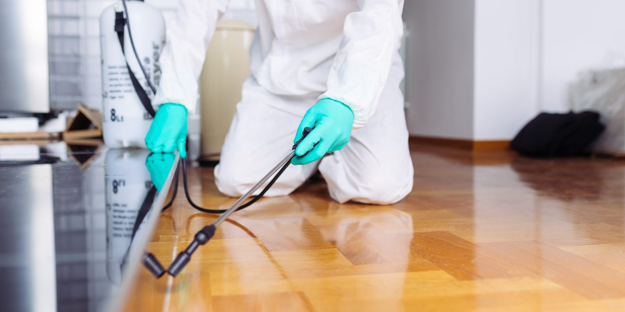 7 Reasons Why You Should Do Regular Pest Inspections